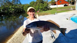 Resting Place on Treasure Island in NPR, FL - 9