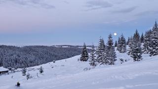 Cabana Apuseni N&D - 8