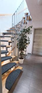 Modern Doppelhaus - 1