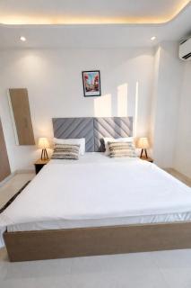 Auric Abode - luxe Studio Near CyberHub Prime Golf Course Road Stay - 8