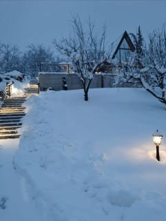 Panorama Pool Hills - 4