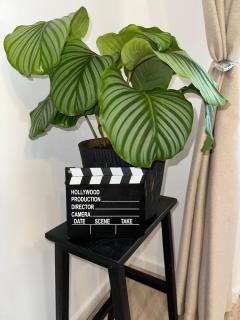 Black Iris Central Apartment - Cismigiu Park - 8