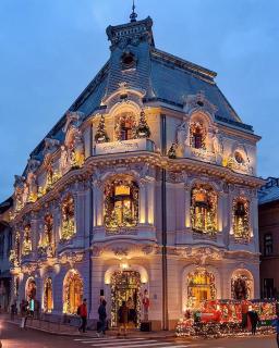 Black Iris Central Apartment - Cismigiu Park - 7