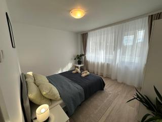 Black Iris Central Apartment - Cismigiu Park - 1