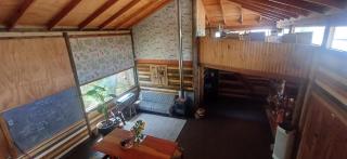 Arboretum cafeteria & jardín - 6