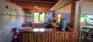 Arboretum cafeteria & jardín - 5