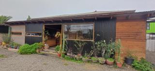 Arboretum cafeteria & jardín - 2