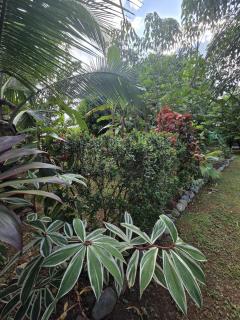 Casa Poco a Poco - 4