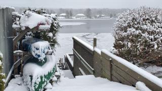 Elk Mountain Less than 20 minutes Cozy Newton Lake Cottage - 3