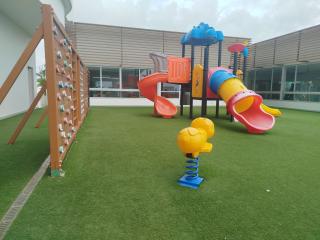 Royal palm Nueva Gorgona - 9