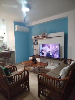 Royal palm Nueva Gorgona - 4