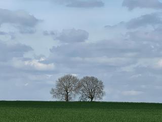 La Maison Saint Joseph - 1