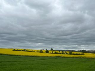 La Maison Saint Joseph - 2