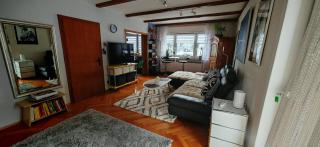 Ferienhaus VILLA ZAUBERBLICK am Rennsteig Frankenwald FREISTEHEND naturnah HUNDEFREUNDLICH eingezäunt - 1