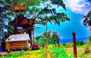 Horizon Tree House - 6