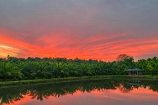 Mountain Escape I Hillside Private Estate Villa - 4