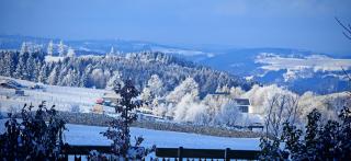 Ferienhaus VILLA ZAUBERBLICK am Rennsteig Frankenwald FREISTEHEND naturnah HUNDEFREUNDLICH eingezäunt - 6
