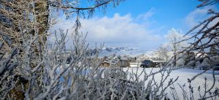 Ferienhaus VILLA ZAUBERBLICK am Rennsteig Frankenwald FREISTEHEND naturnah HUNDEFREUNDLICH eingezäunt - 7