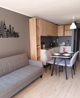 8 Steps from La Moneda - 2