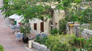 The Oasis at Ras Al Khaimah - 7