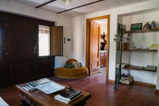 Olive grove house - 5