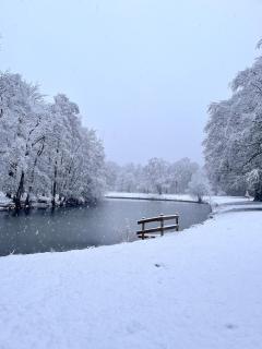 Sauna and Bicycles, Private Stay Bruges - 3