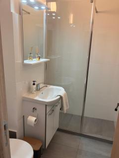 Garsoniera Goldis - 3