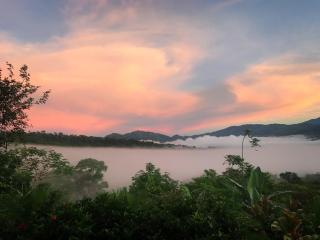 Luxury In The Jungle - 7