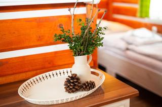 Apartmany Silver - 4