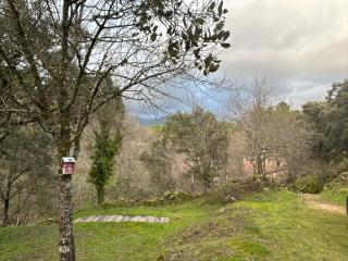 Antiguo Molino con piscina y chimenea en el valle del Tietar - 2