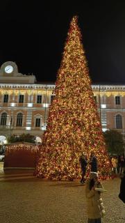 Bilocale in Palazzo del XVI Secolo - 8