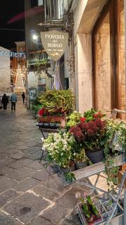 Bilocale in Palazzo del XVI Secolo - 4