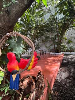 Hospedaje Novo Rodeio - Encarnación - 2