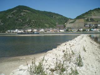 Weingut Theodor Nies - 2