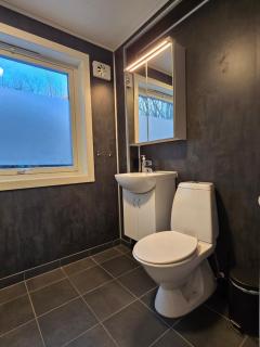 Nyoppusset leilighet nær Aker og sentrum - 5