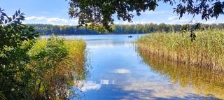 Ferienhaus Im Wäldchen in See Nähe - Templin - 8