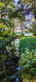 Ferienhaus Im Wäldchen in See Nähe - Templin - 7