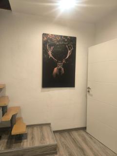 Naturnest Berzbuir - Düren - 9