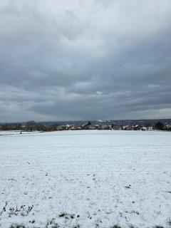 Naturnest Berzbuir - Düren - 1