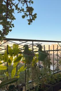 Comfy Apt at Jandawil -only Families- - 2