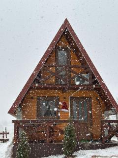 Mountain house Drveni Raj - 9