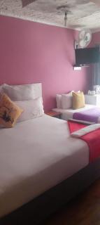 Siphe Bed and Breakfast - 7