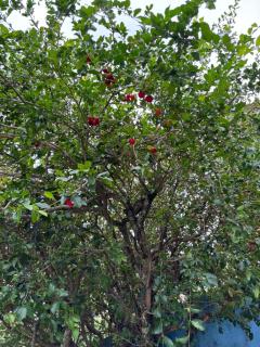 Aconchego do Vale - 7