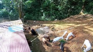 Cerroazulfarmlodge - 9