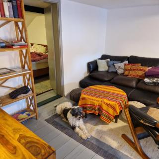 Cozy top floor apartment with garden - 0