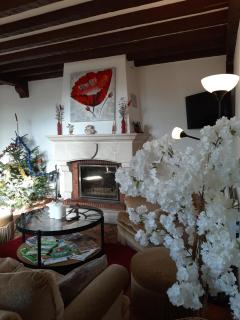 La villa Dakoté - 9