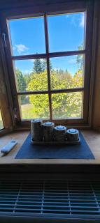 Ferienhaus Im Wäldchen in See Nähe - Templin - 2