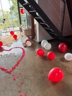 Chale cabana 1 linda vista na serra da Serra da Cantareira - 8