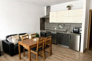 Apartment Riviera 13 Lipno - 8