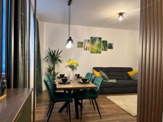 Elite XCity Timișoara - Apartament Premium - 8